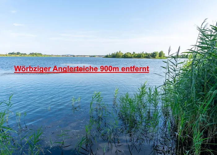 Landhaus Ruheoase - dennoch mittendrin - Natur, Städte&Harz Groebzig