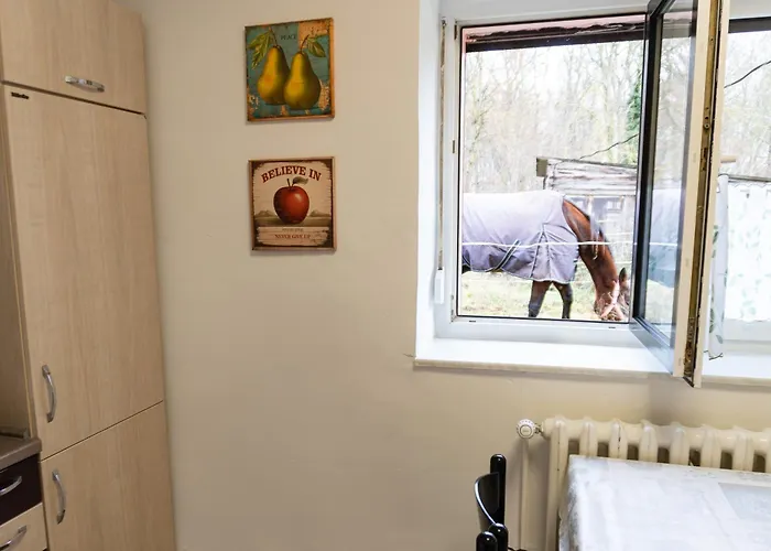 Landhaus Ruheoase - dennoch mittendrin - Natur, Städte&Harz Groebzig