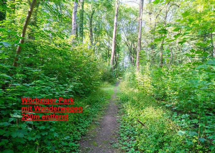 Ferienhaus Landhaus Ruheoase - dennoch mittendrin - Natur, Städte&Harz